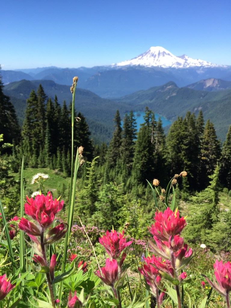 Magenta paintbrushes. Oh, and a mountain.