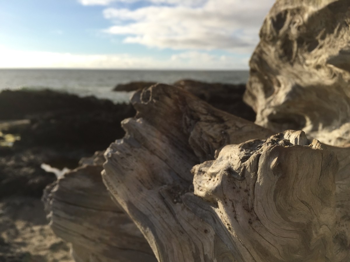 Flying visit to the Oregon&nbsp;Coast